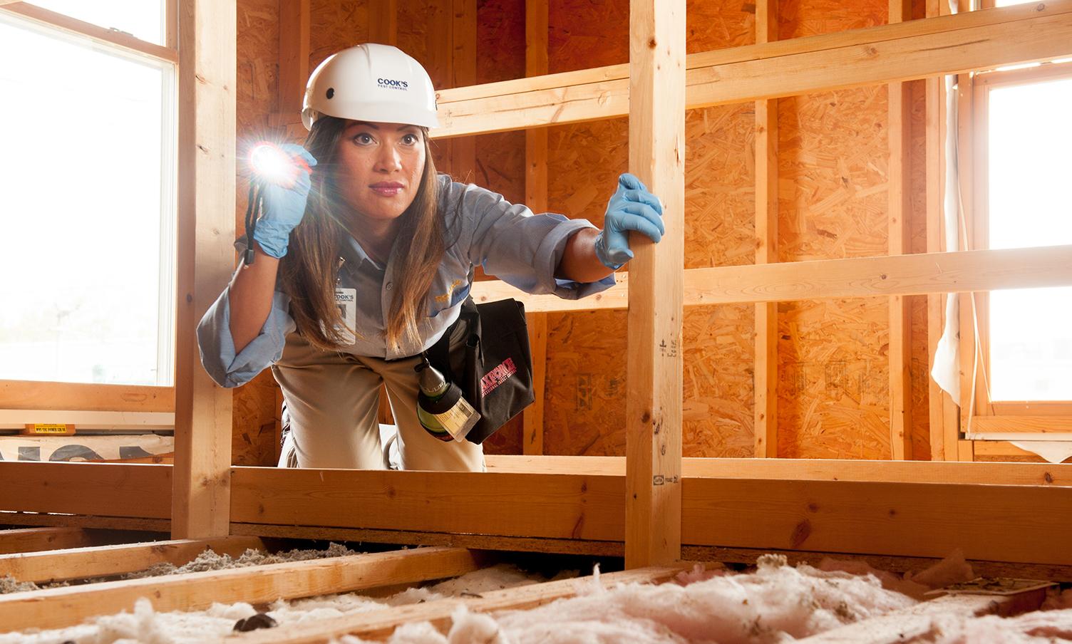 A focused Cook's pest control inspector examining a construction site with a flashlight.