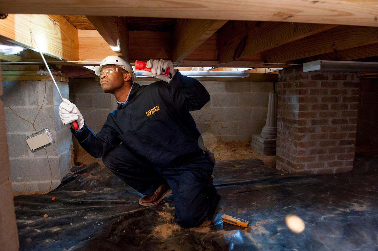 Cook's Pest control inspector examining a crawl space with a flashlight and protective gear.