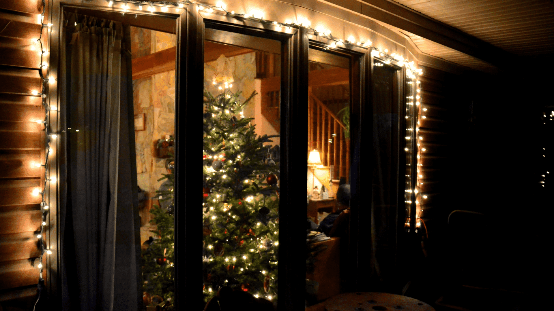 Warm home exterior at night with a view through the window, representing indoor spaces where winter pests seek shelter