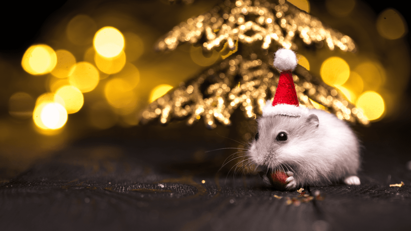 Image showing Pest Mythbusters: Holiday Edition – Separating Fact from Fiction 